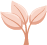 Paraben Free Paraben Free